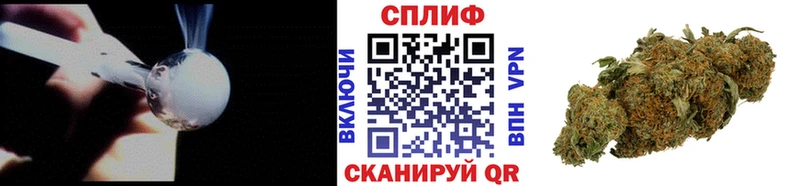 Конопля White Widow  Купить закладки  Новороссийск 